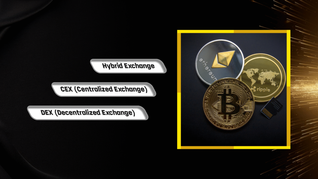 Crypto Wallet vs crypto Exchange
